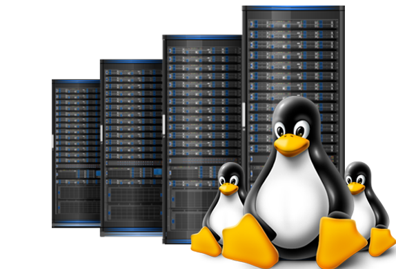Orissa Web Hosting