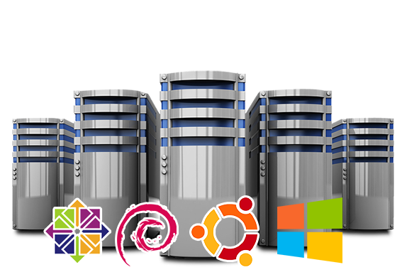 Orissa Web Hosting